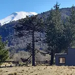 Rucautín Tiny Cabin